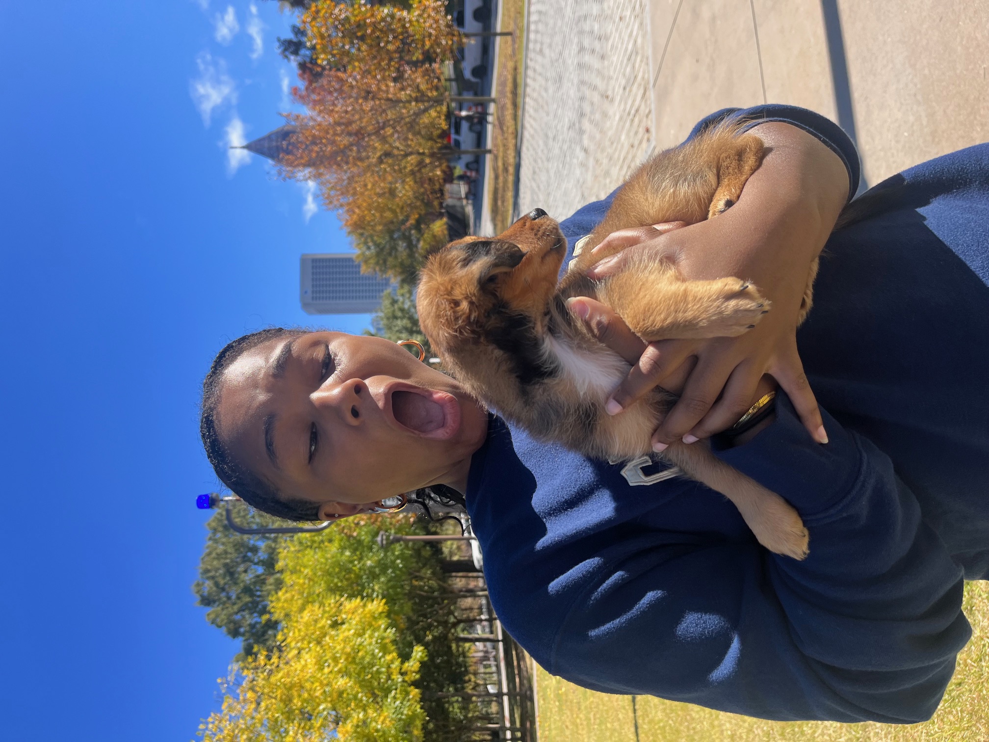 Holding a dog on a sunny day